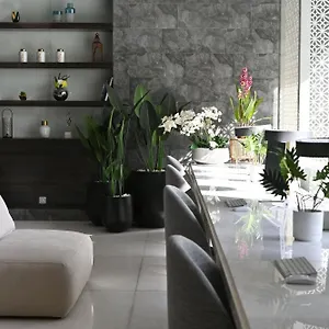 Ayan Riyadh